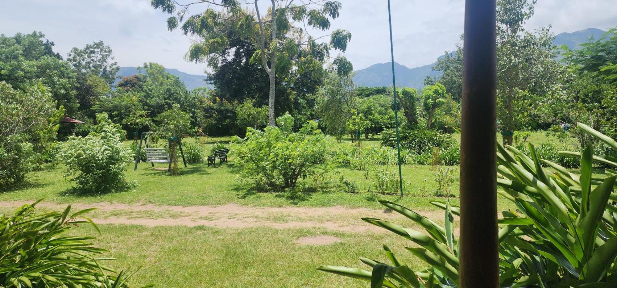 Tamarind Tree Masinagudi Hotel Exterior photo